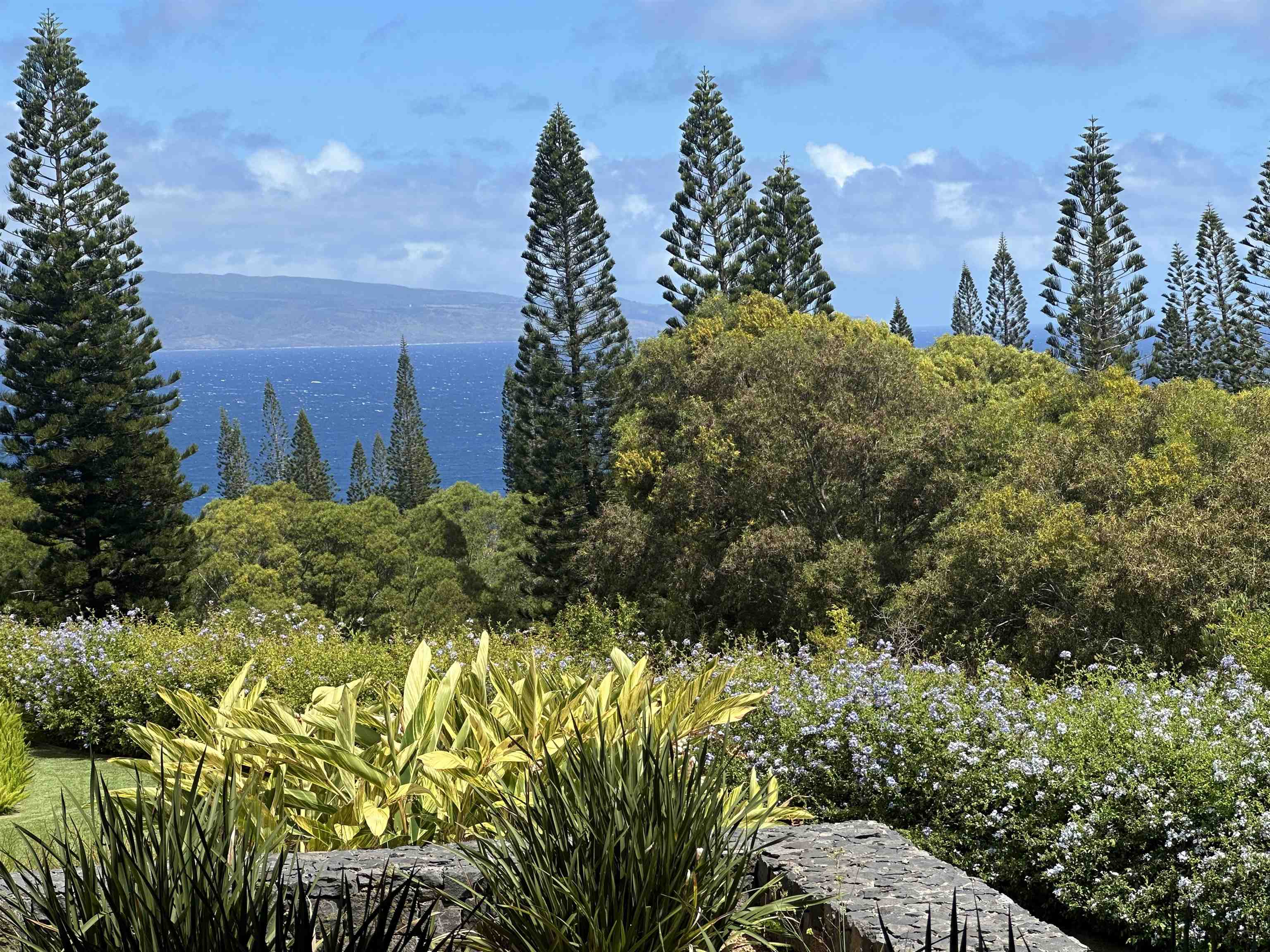 215 Plantation Club Drive Lahaina, HI 96761 - Photo 44 of 50