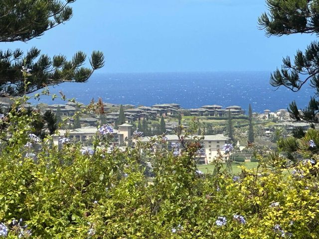 $26,000,000 | 215 Plantation Club Drive, Lahaina, HI 96761