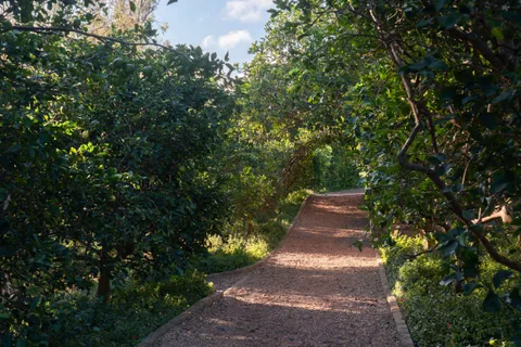 $25,000,000 | 215 Plantation Club Drive, Lahaina, HI 96761