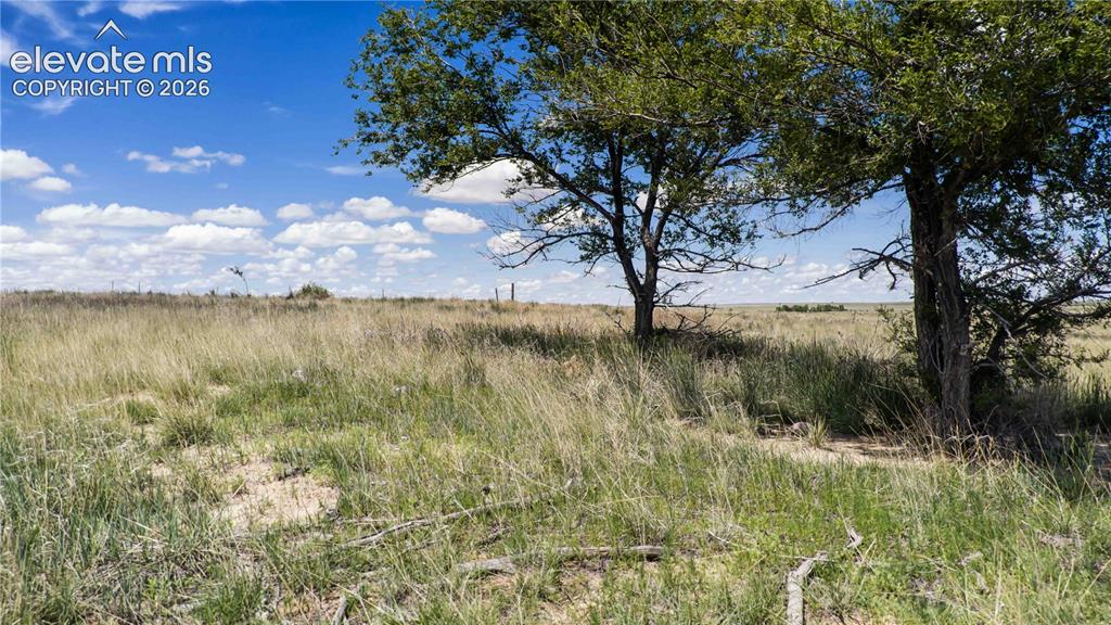39320 Truckton Road Rush, CO 80833 - Photo 17 of 19 a view of lake with green space