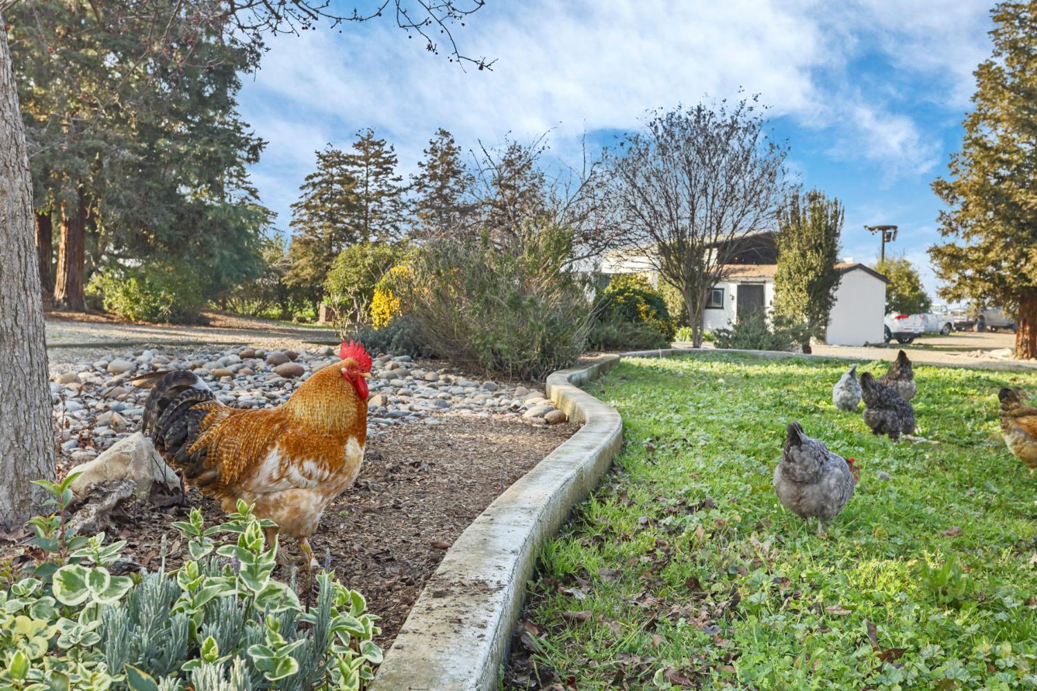 21219 Naglee Road Tracy, CA 95304 - Photo 57 of 80