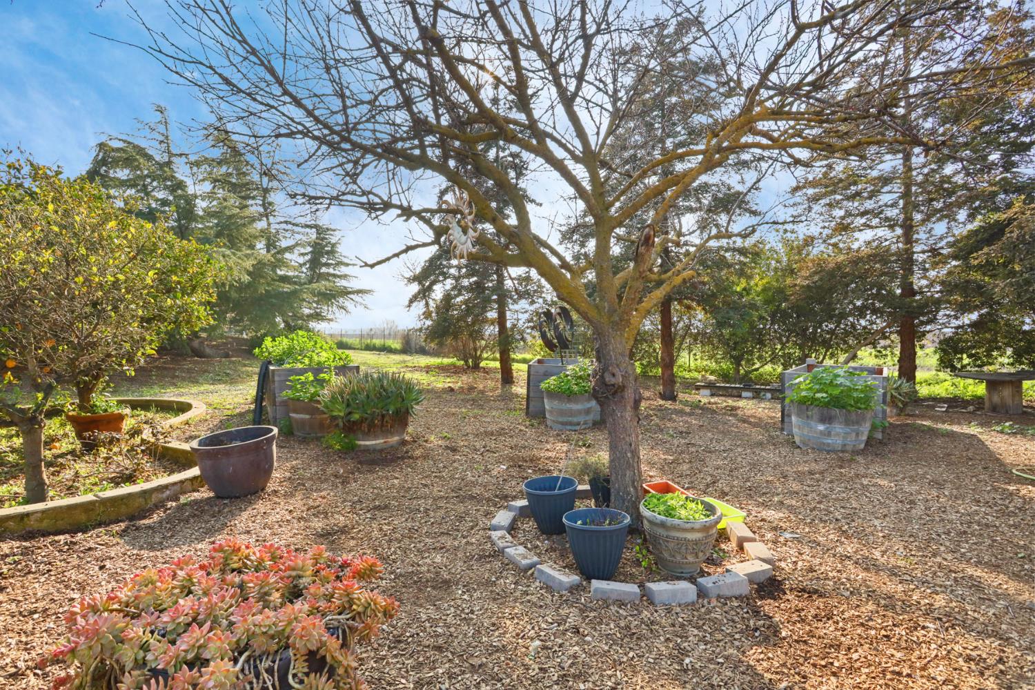 21219 Naglee Road Tracy, CA 95304 - Photo 64 of 80