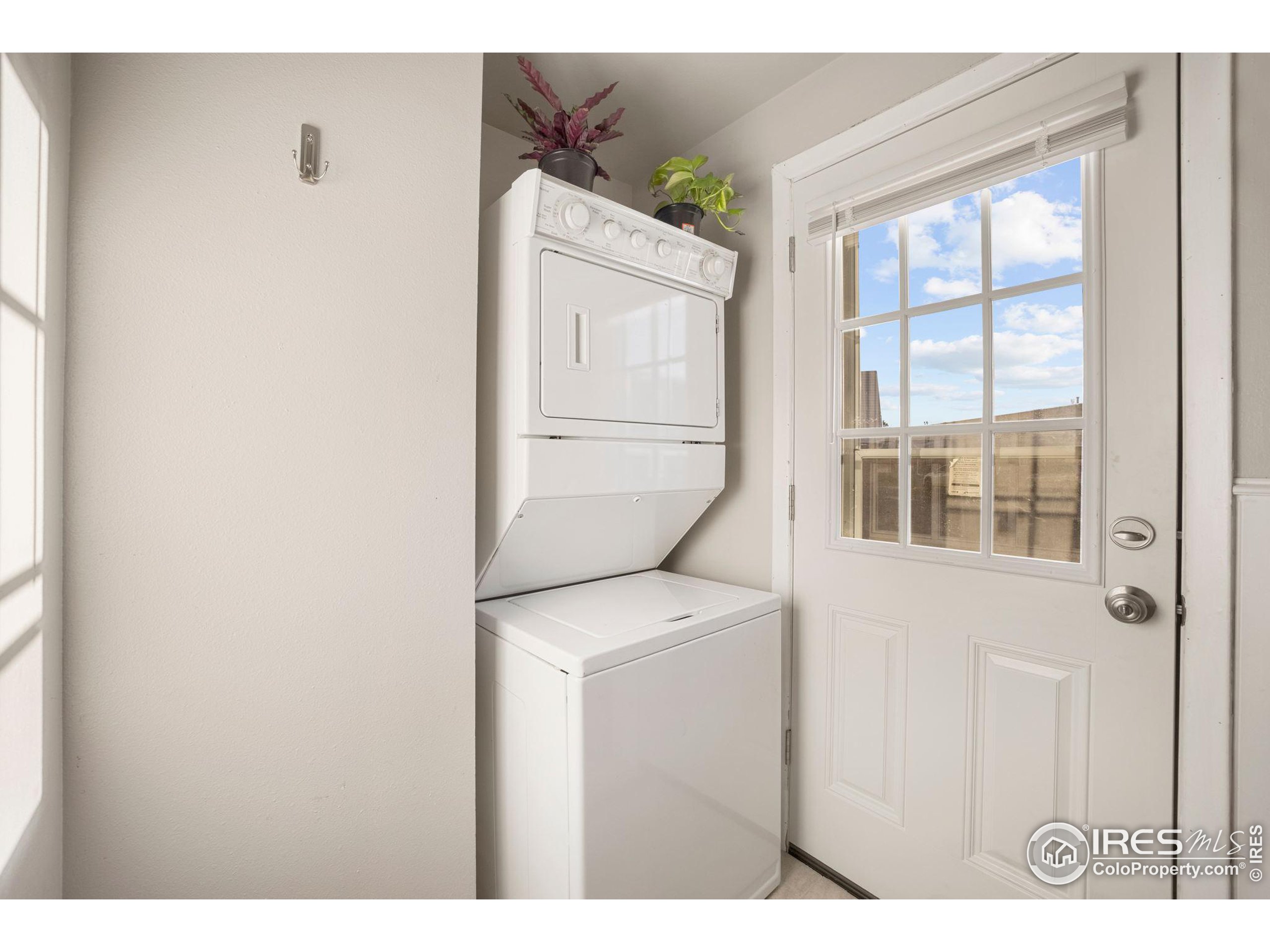 219 Chestnut Street Windsor, CO 80550 - Photo 16 of 23 a hallway with front door