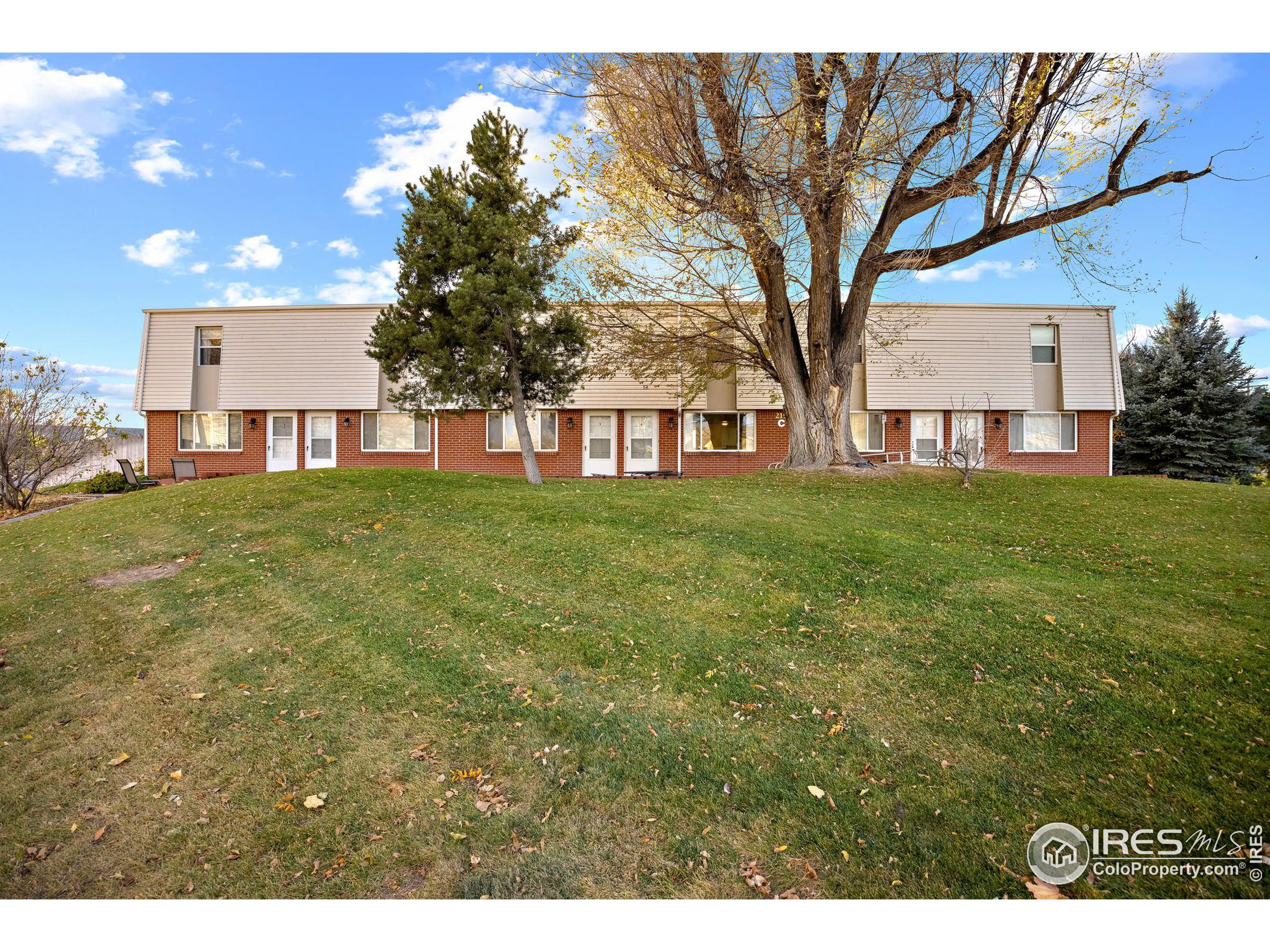 219 Chestnut Street Windsor, CO 80550 - Photo 3 of 23 a view of a yard in front of a house with large tree