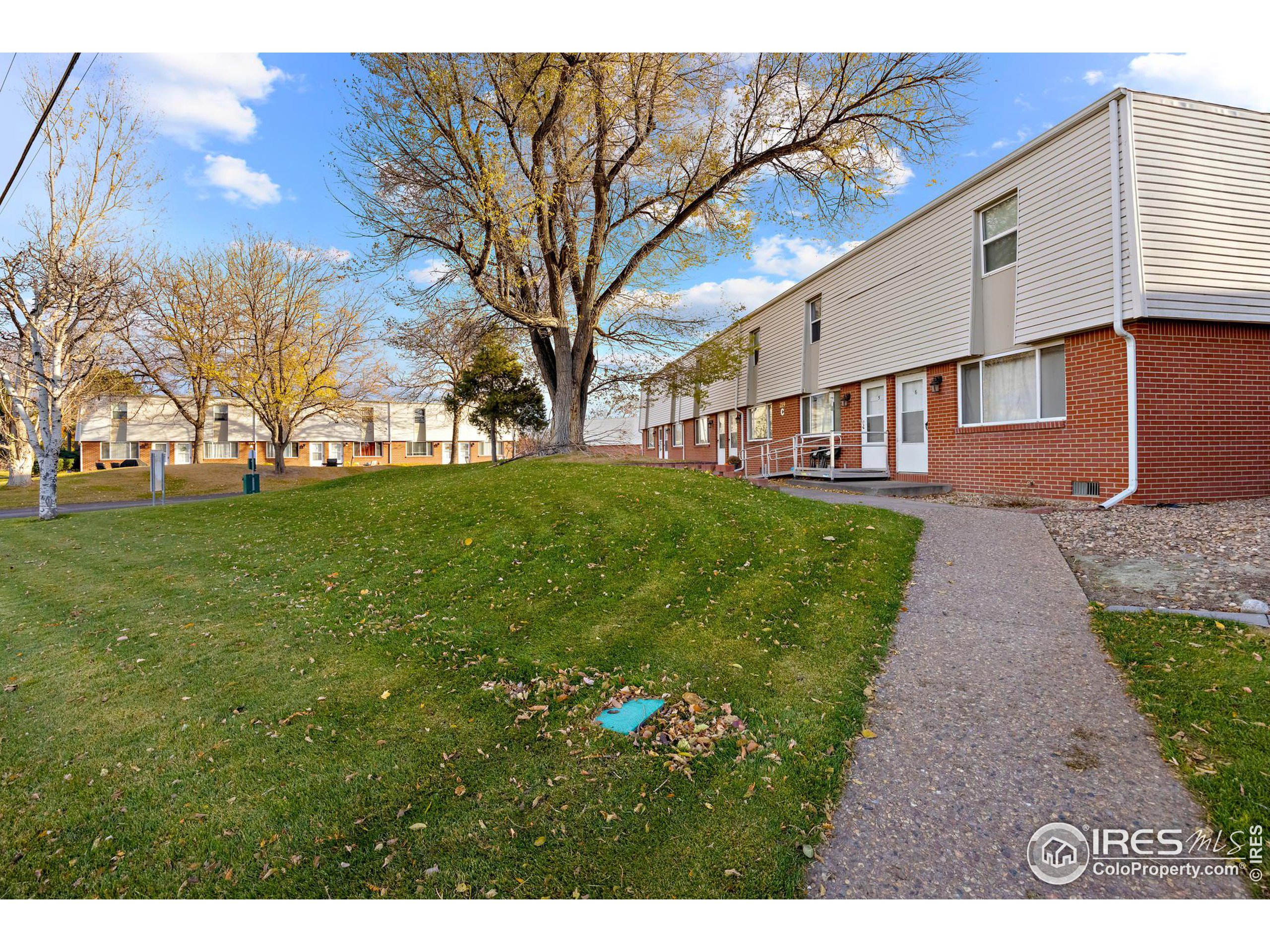 219 Chestnut Street Windsor, CO 80550 - Photo 4 of 23 a backyard of a house with lots of green space