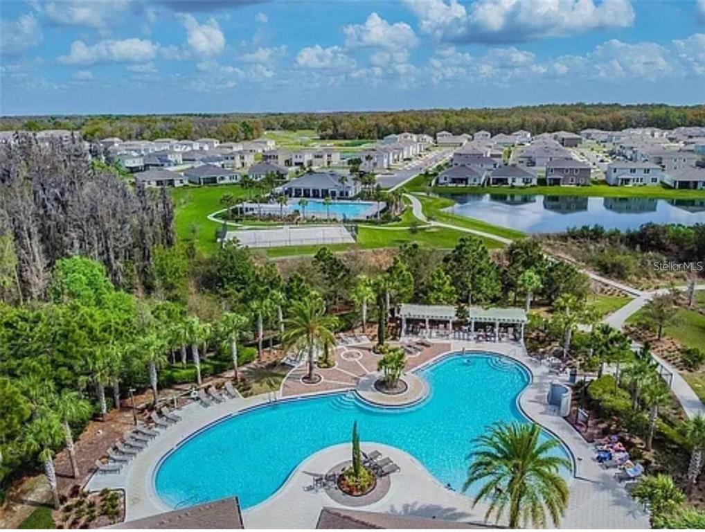 1615 Hubbell Road Wesley Chapel, FL 33543 - Photo 22 of 60