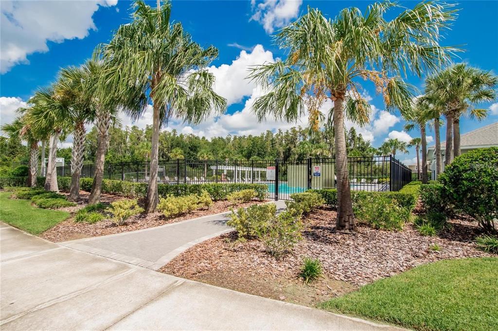 1615 Hubbell Road Wesley Chapel, FL 33543 - Photo 23 of 60