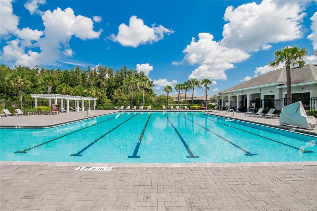 1615 Hubbell Road Wesley Chapel, FL 33543 - Photo 27 of 60