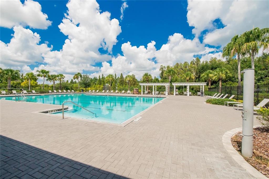 1615 Hubbell Road Wesley Chapel, FL 33543 - Photo 30 of 60