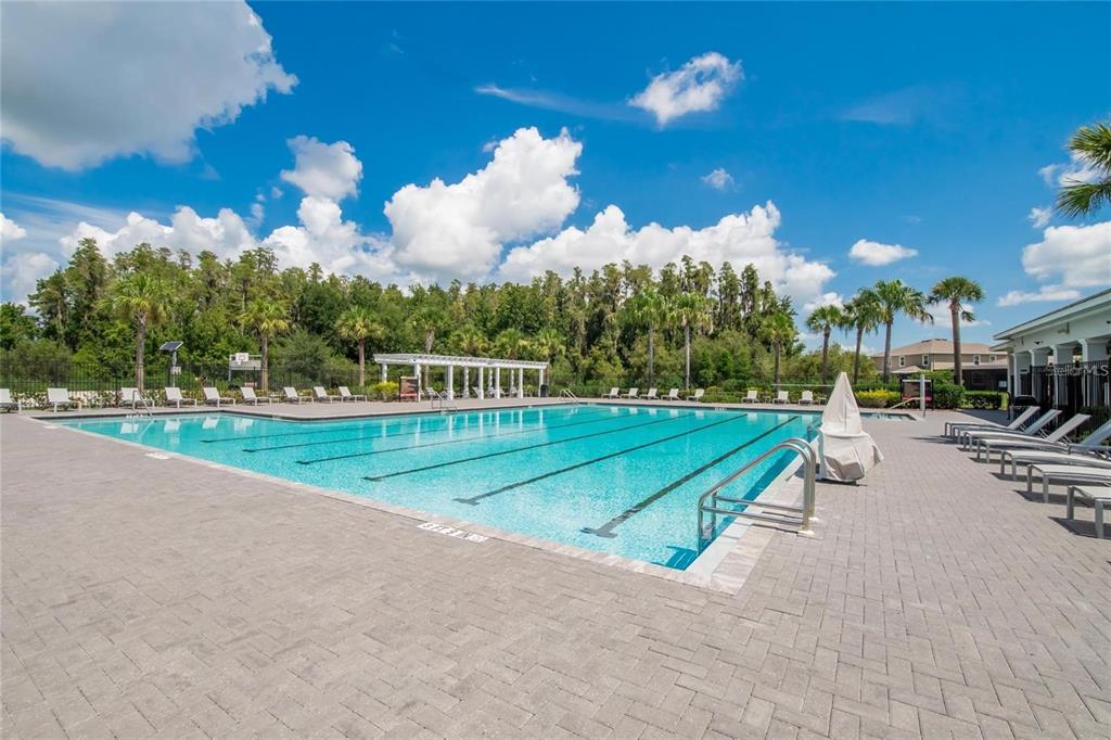 1615 Hubbell Road Wesley Chapel, FL 33543 - Photo 31 of 60