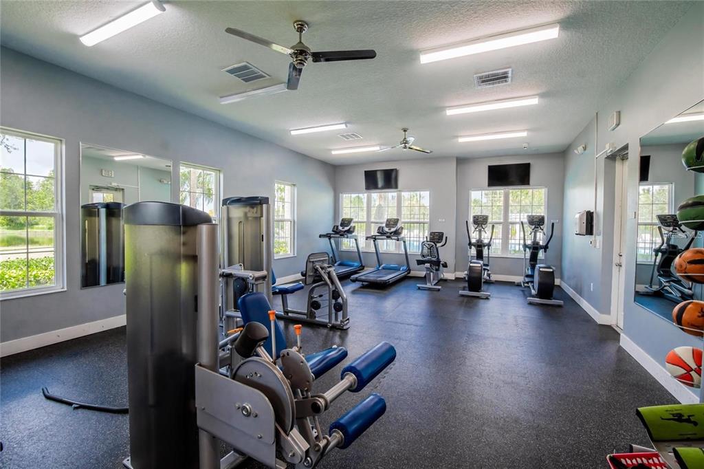 1615 Hubbell Road Wesley Chapel, FL 33543 - Photo 32 of 60