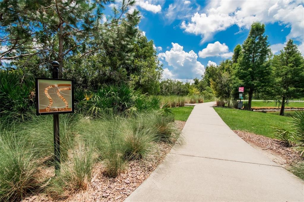 1615 Hubbell Road Wesley Chapel, FL 33543 - Photo 44 of 60