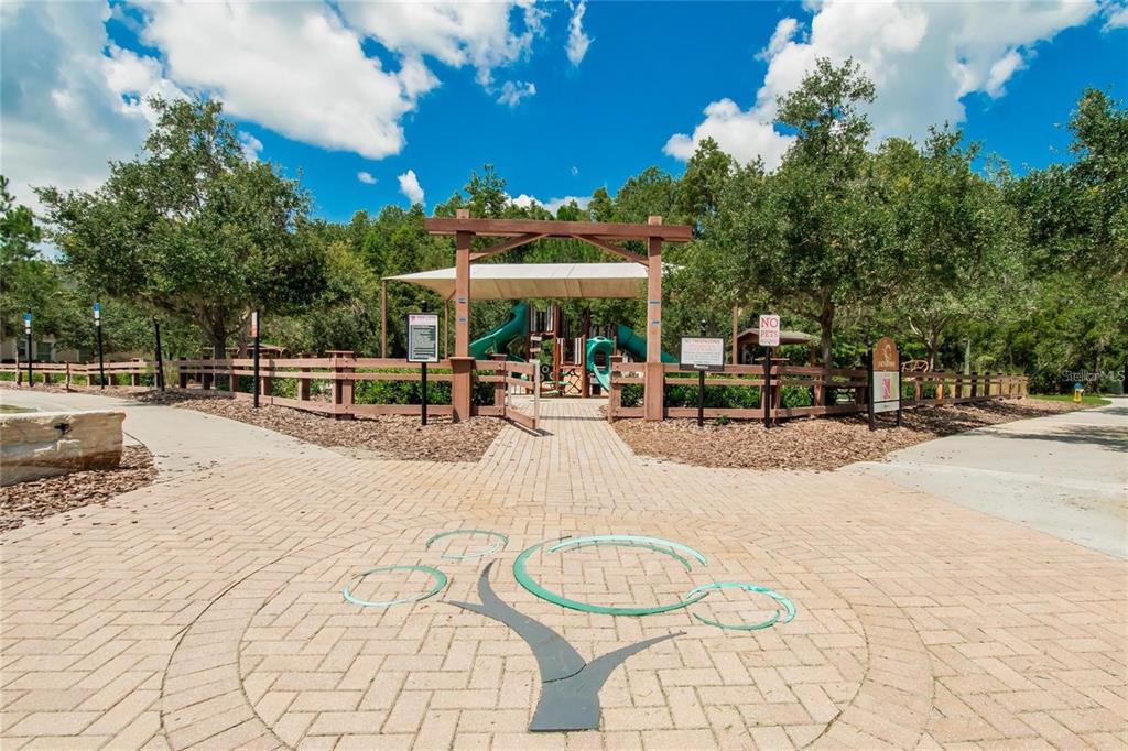 1615 Hubbell Road Wesley Chapel, FL 33543 - Photo 46 of 60