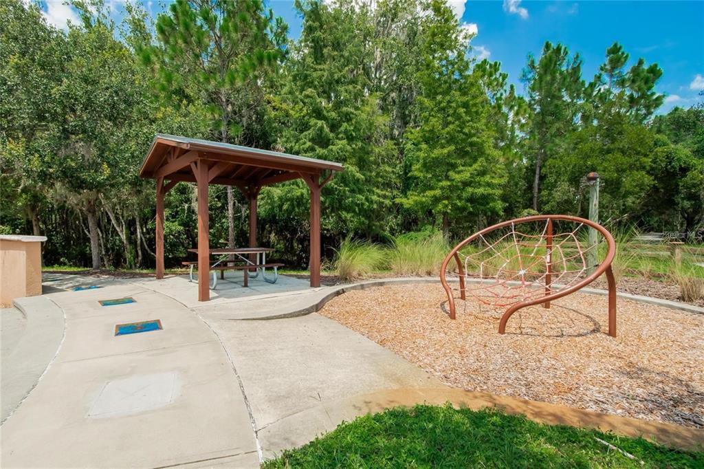 1615 Hubbell Road Wesley Chapel, FL 33543 - Photo 48 of 60