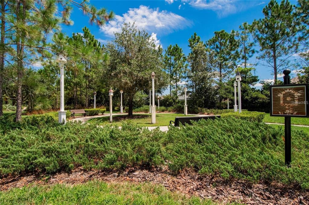 1615 Hubbell Road Wesley Chapel, FL 33543 - Photo 53 of 60