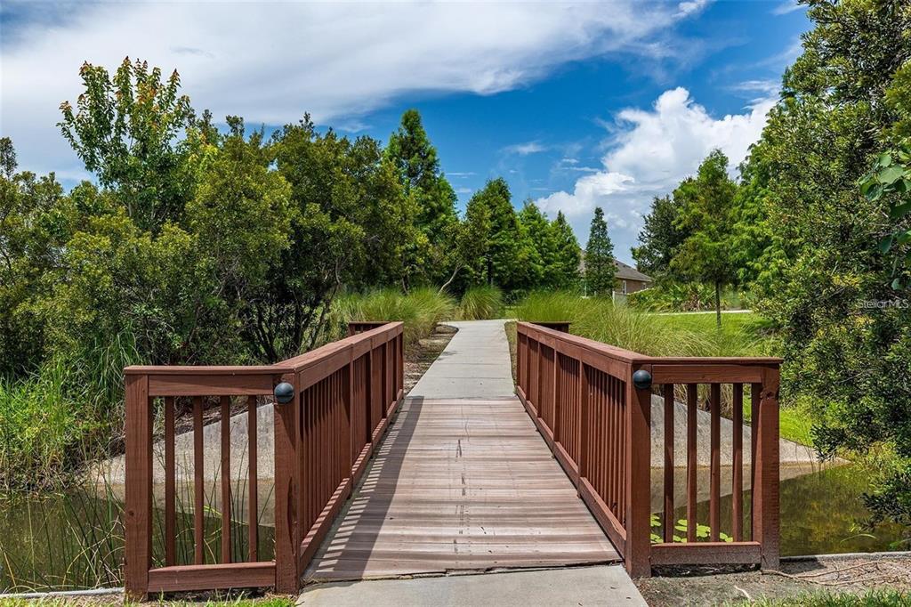 1615 Hubbell Road Wesley Chapel, FL 33543 - Photo 59 of 60