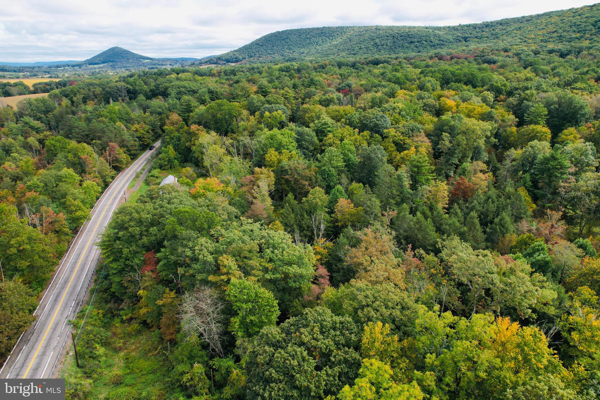 956 Rock Glen Road Sugarloaf, PA 18249 - Photo 8 of 14