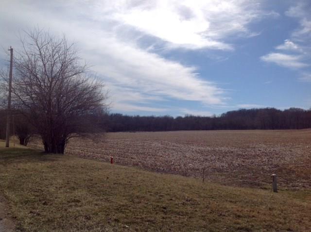0 South 550 E Road Franklin, IN 46131 - Photo 2 of 3 Gallery Image 2