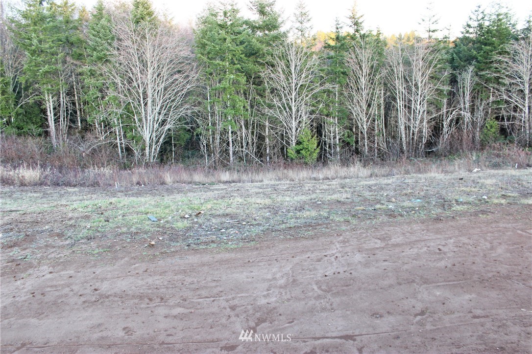 49 Ridgetop Lane Elma, WA 98541 - Photo 4 of 22 Gallery Image 4
