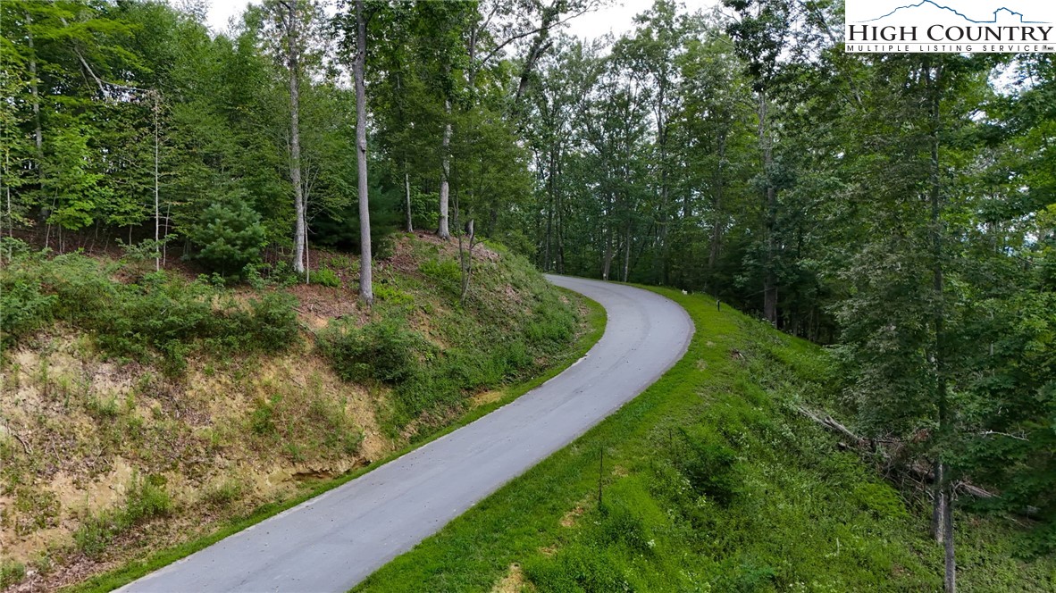 Lot T4 Coyote Trail Boone, NC 28607 - Photo 14 of 15