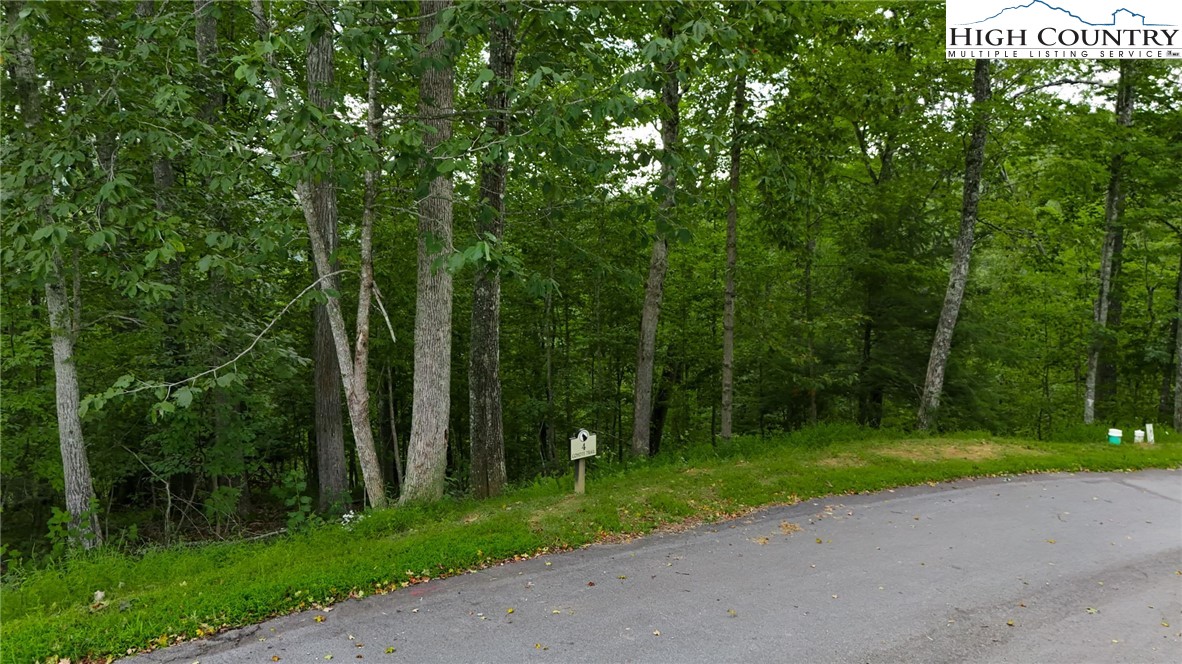 Lot T4 Coyote Trail Boone, NC 28607 - Photo 3 of 15