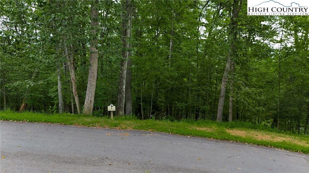 Lot T4 Coyote Trail Boone, NC 28607 - Photo 4 of 15