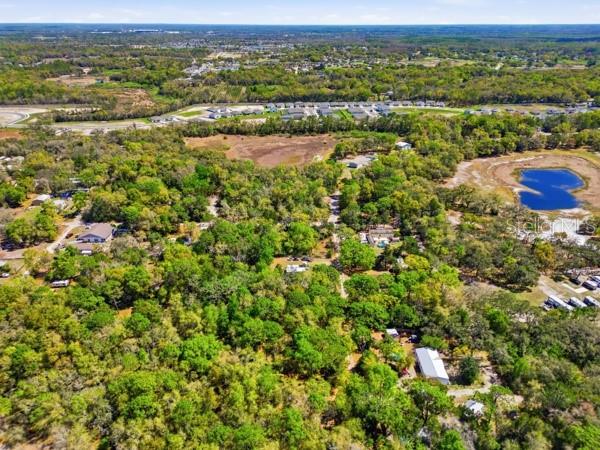 12139 Rutherford Lane Hudson, FL 34669 - Photo 11 of 11 an aerial view of residential houses with outdoor space and trees