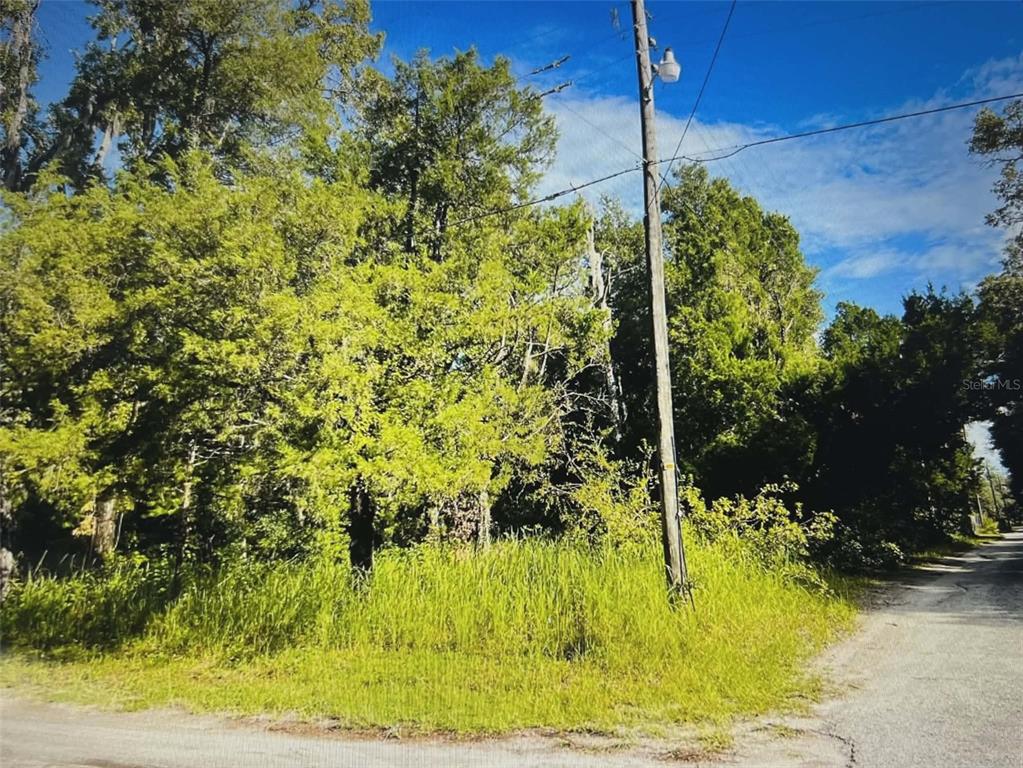 12139 Rutherford Lane Hudson, FL 34669 - Photo 4 of 11 a backyard of a house with a tree