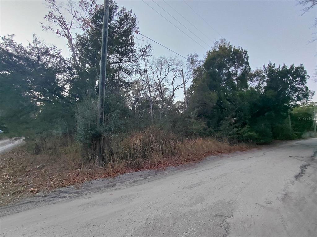 12139 Rutherford Lane Hudson, FL 34669 - Photo 7 of 11 a view of a dirt road with trees in the background