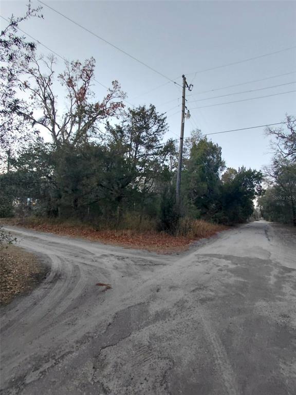 12139 Rutherford Lane Hudson, FL 34669 - Photo 8 of 11 a view of a yard with a tree