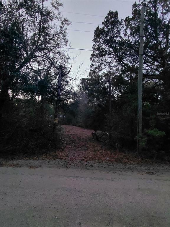 12139 Rutherford Lane Hudson, FL 34669 - Photo 9 of 11 a view of a yard