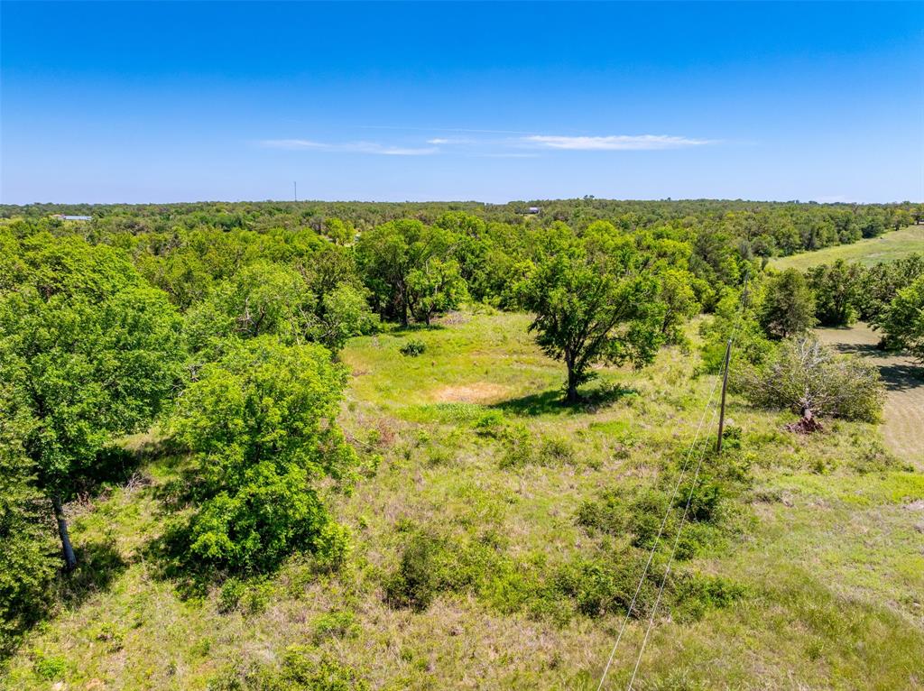 1874 County Road Springtown, TX 76082 - Photo 16 of 24 a view of yard with green space