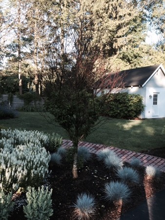 59 Golden Ball Road Weston, MA 02493 - Photo 3 of 24