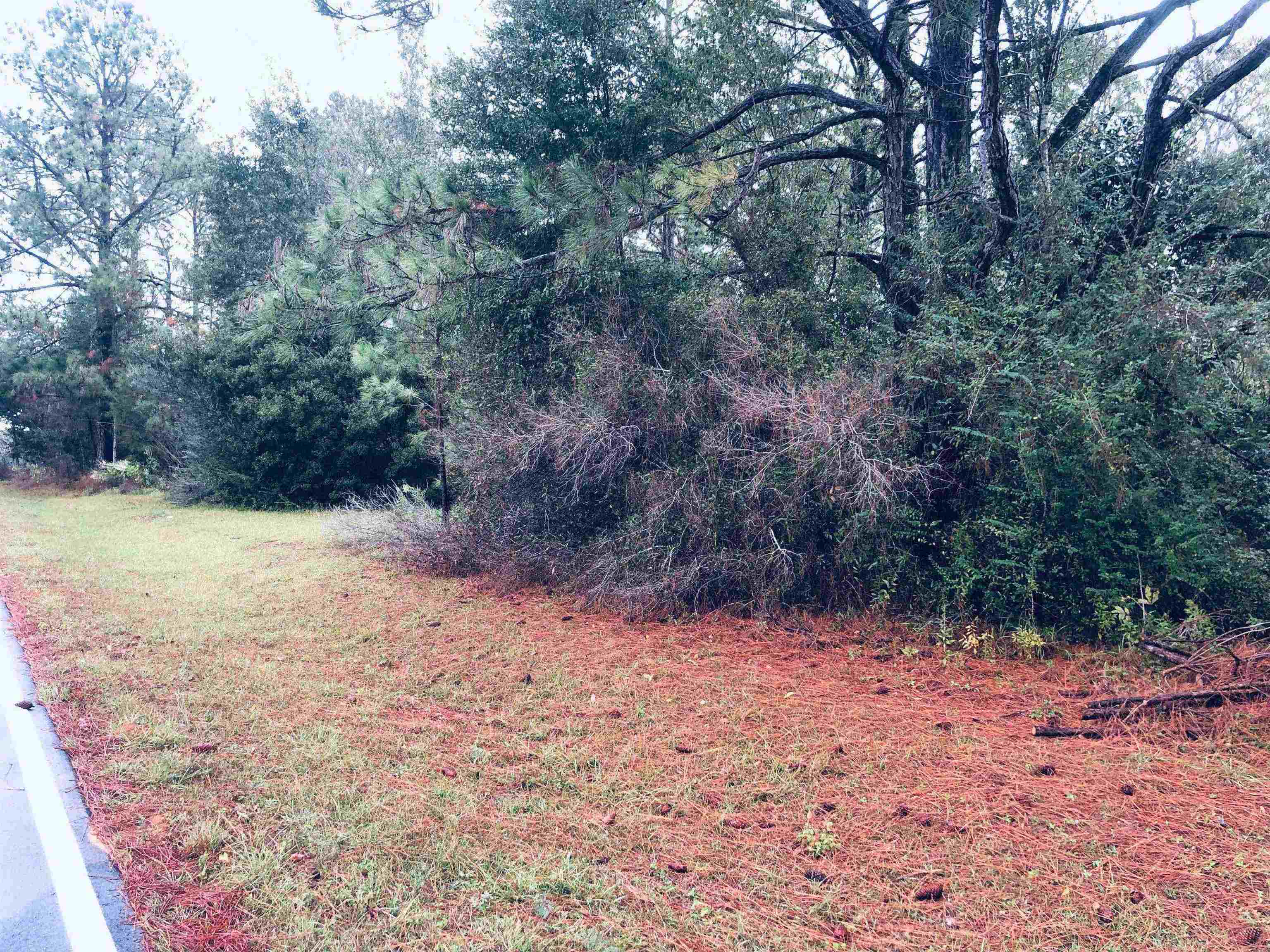 20950 Lacey Road Silverhill, AL 36576 - Photo 12 of 17