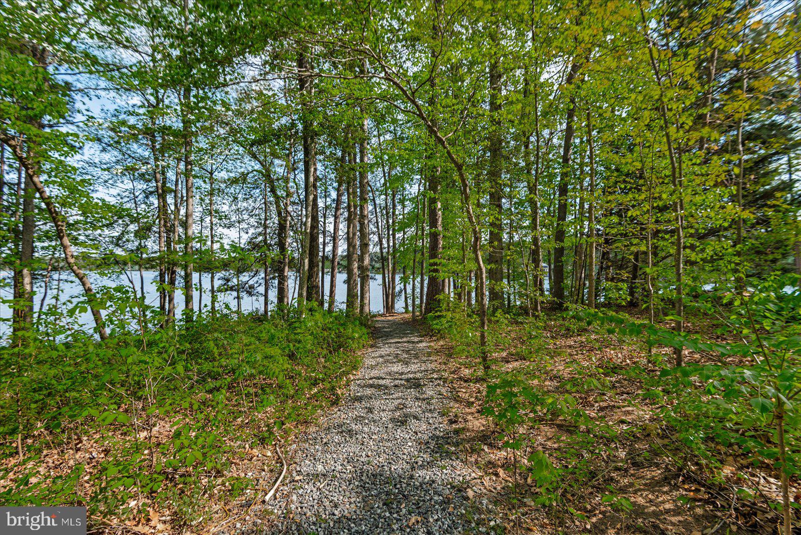 8 Franklin Cove Ruther Glen, VA 22546 - Photo 49 of 70 a big yard with lots of green space and trees