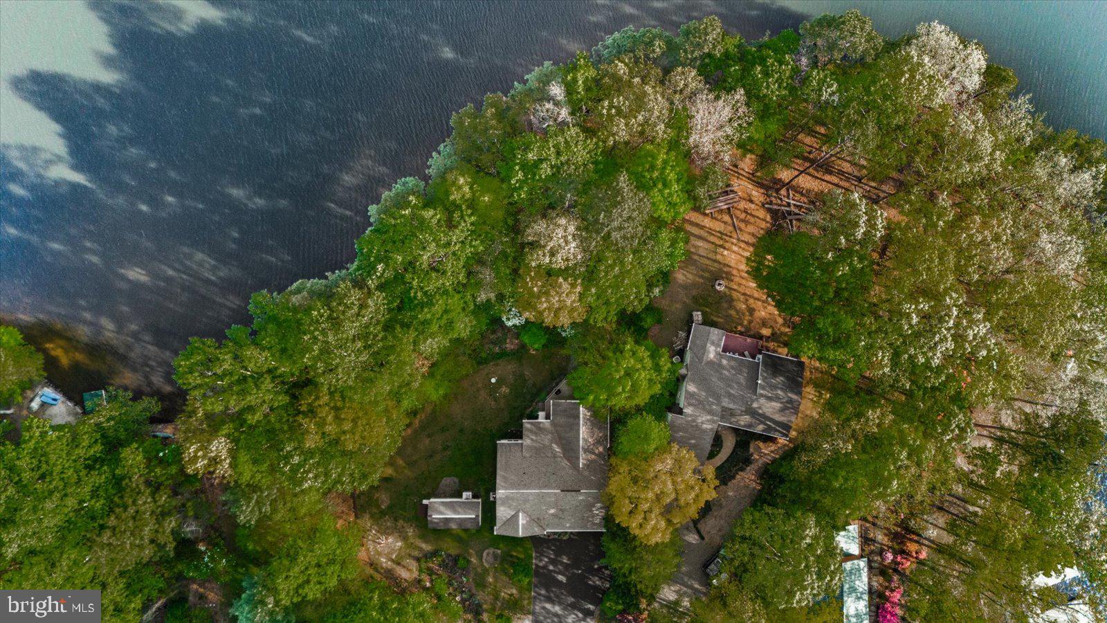 8 Franklin Cove Ruther Glen, VA 22546 - Photo 57 of 70 an aerial view of a house with a yard and large tree