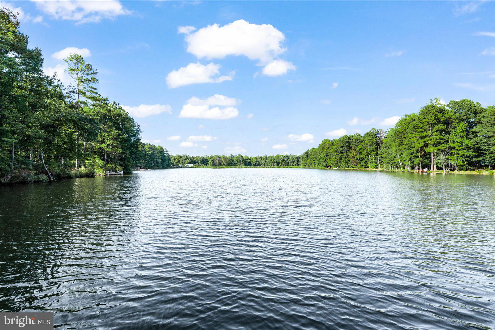 8 Franklin Cove Ruther Glen, VA 22546 - Photo 66 of 70 a view of lake