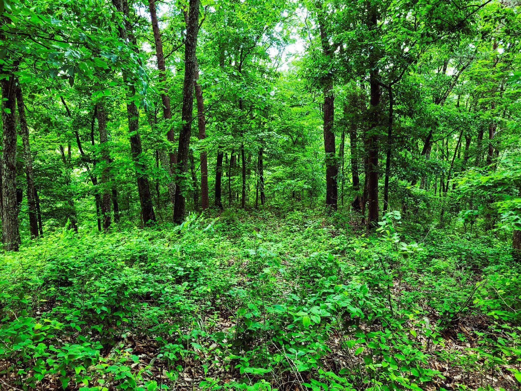 0 Corydon Ridge Road New Albany, IN 47150 - Photo 1 of 13