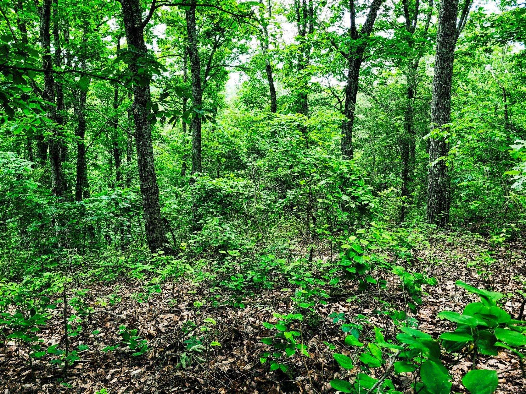 0 Corydon Ridge Road New Albany, IN 47150 - Photo 2 of 13