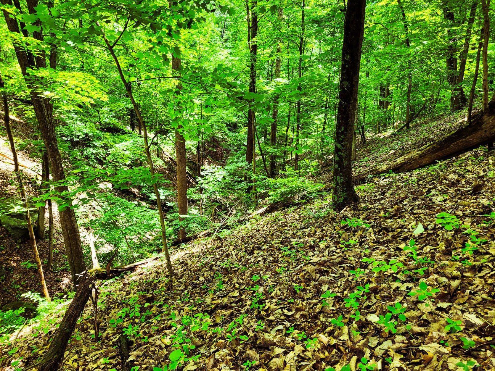 0 Corydon Ridge Road New Albany, IN 47150 - Photo 4 of 13