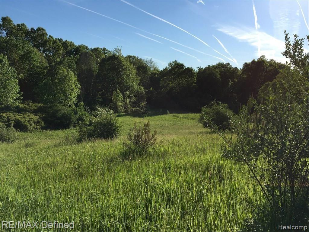 Parcel H East Rattalee Lake Road Holly, MI 48442 - Photo 6 of 13
