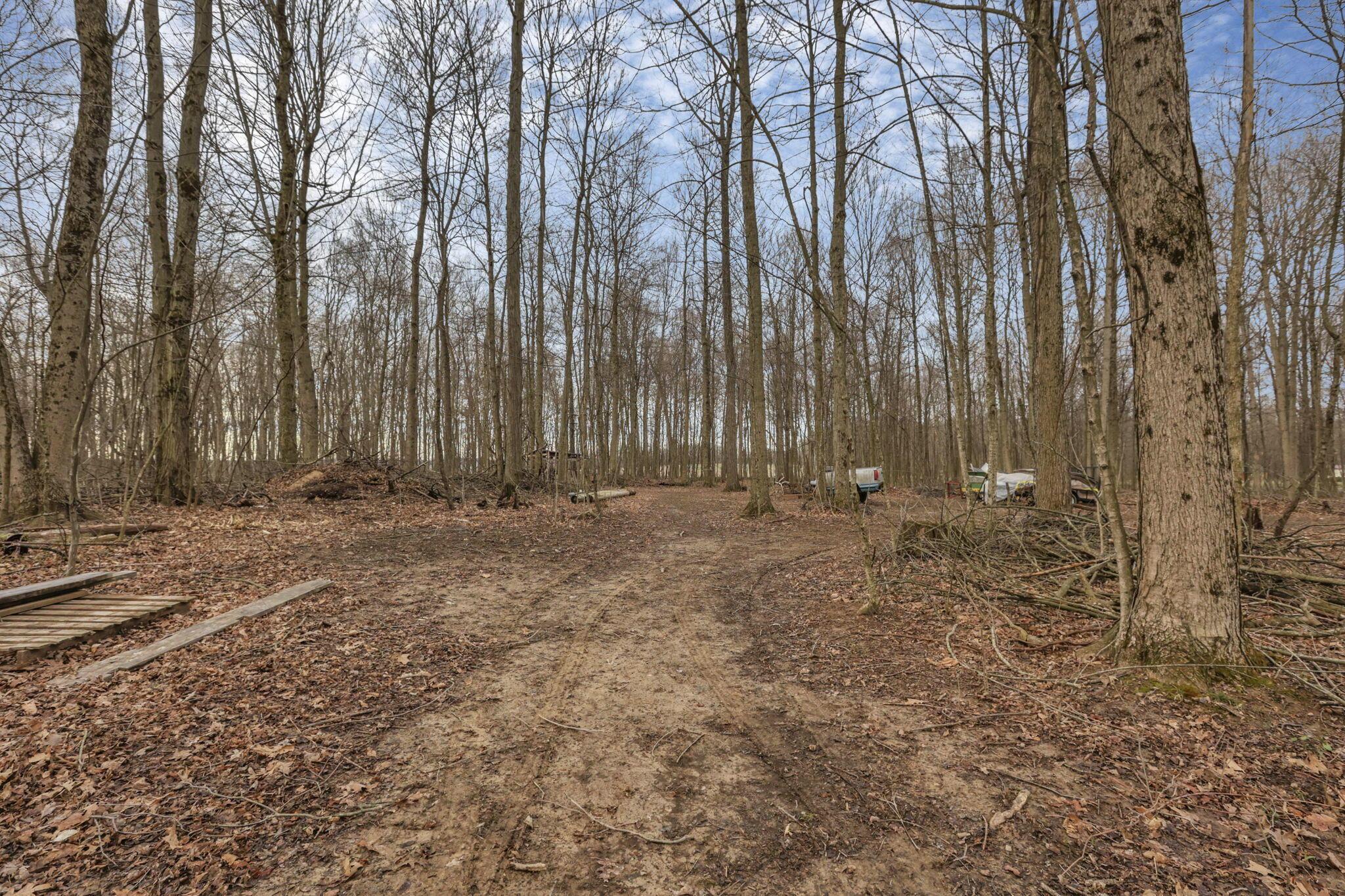6590 Feasel Road Mount Vernon, OH 43050 - Photo 41 of 66 41-web-or-mls-0V3A5882