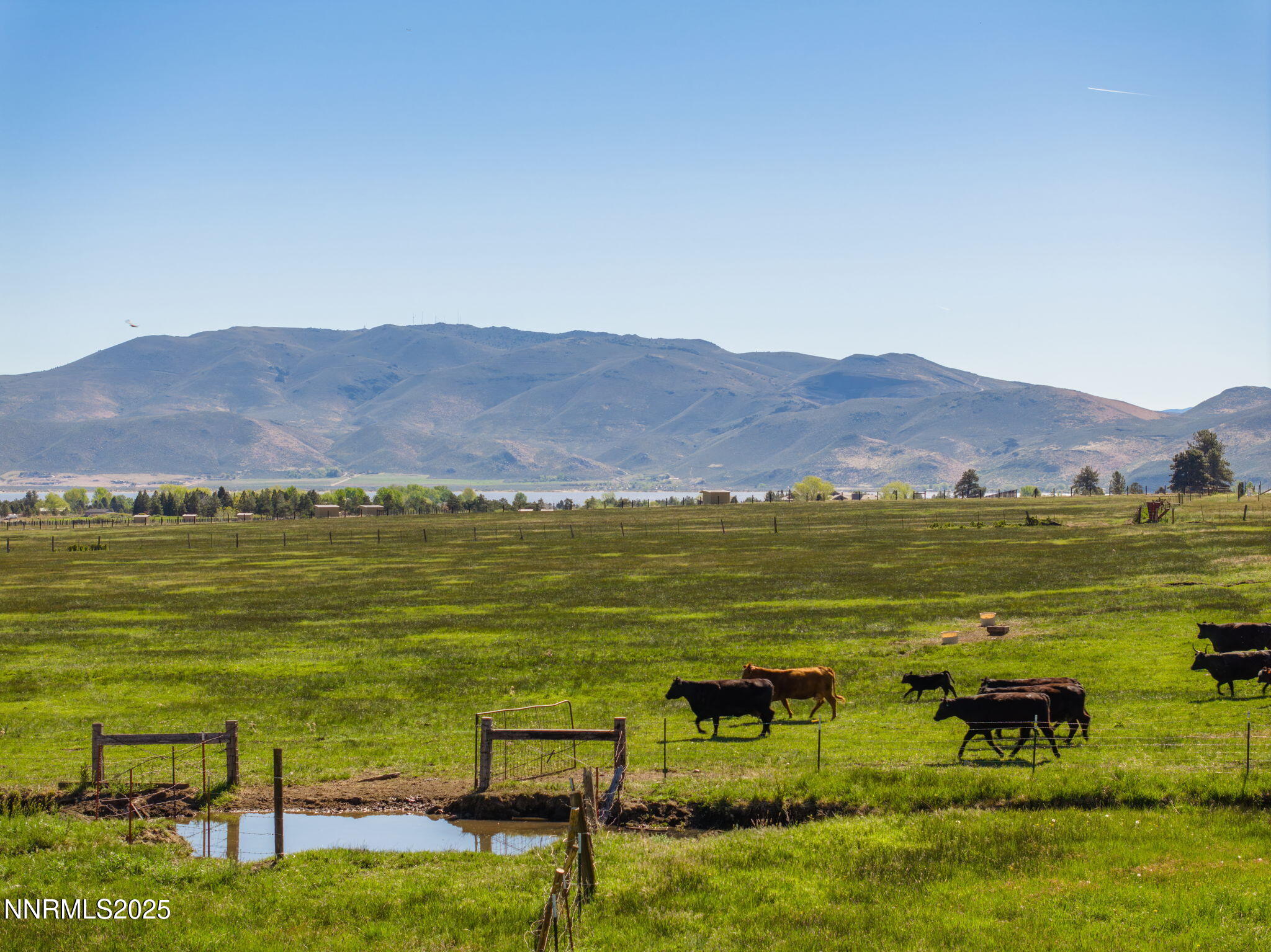 5 Franktown Road Washoe Valley, NV 89704 - Photo 4 of 17 a view of an ocean from a city
