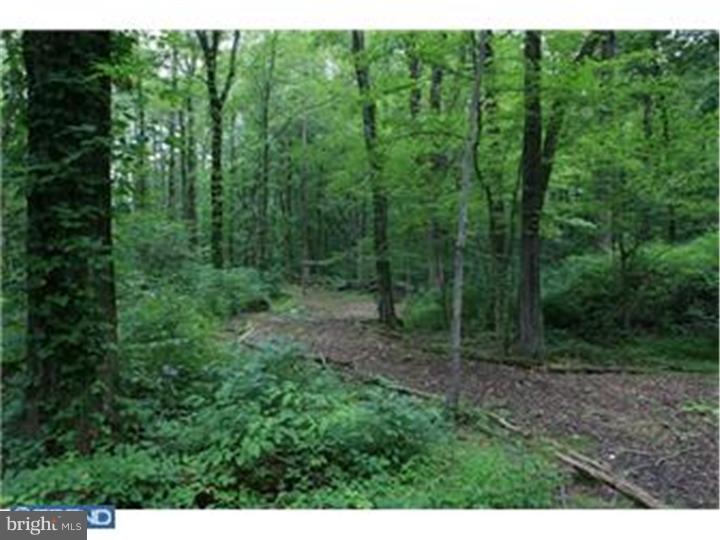 1110 California Road Quakertown, PA 18951 - Photo 19 of 21 Gallery Image 19