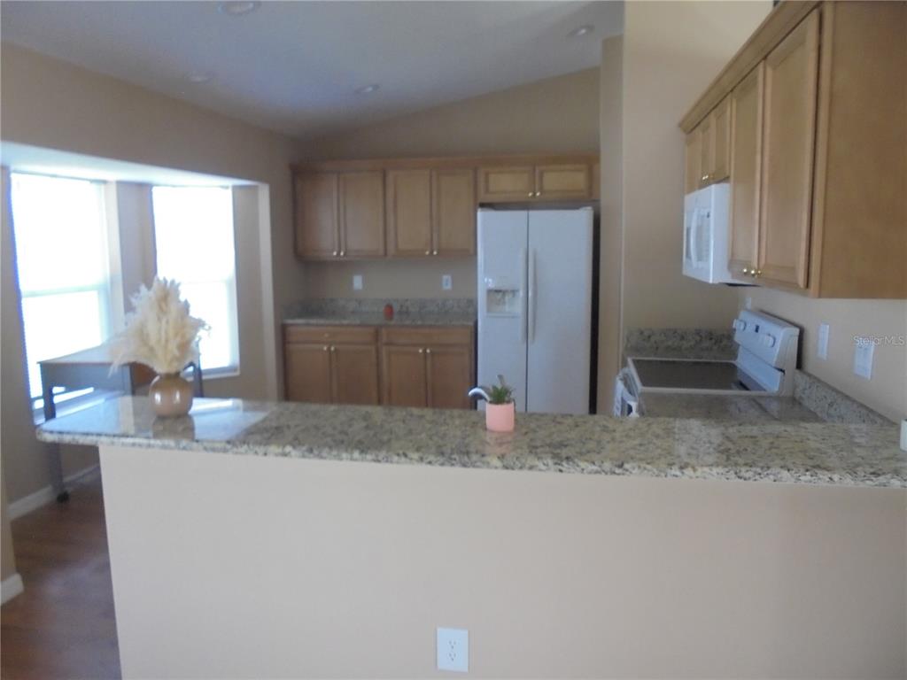 1509 Northeast 46th Road Ocala, FL 34470 - Photo 11 of 28 a kitchen with granite countertop a refrigerator and a sink