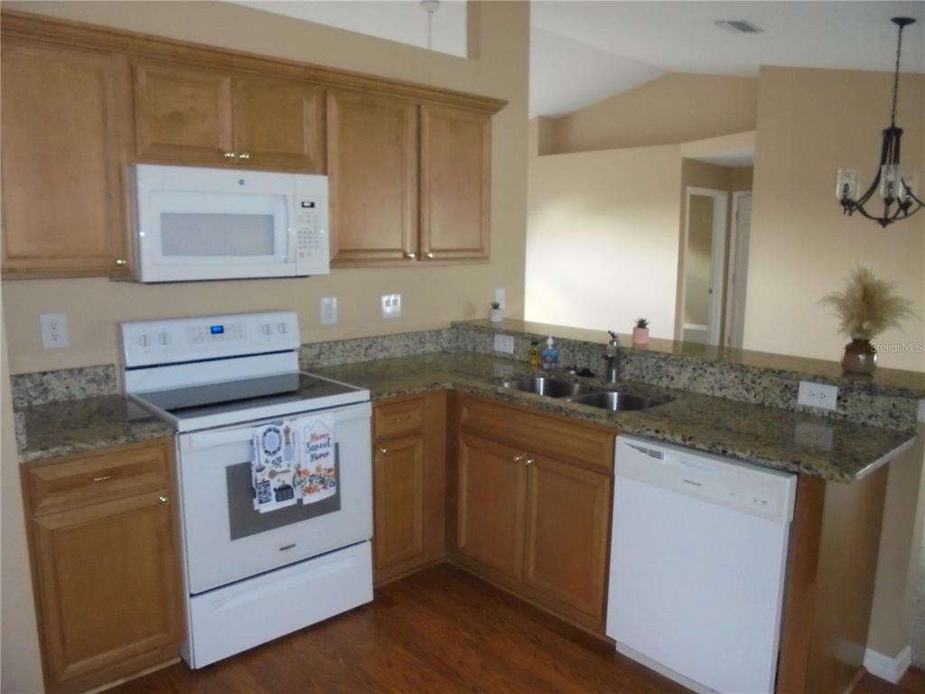 1509 Northeast 46th Road Ocala, FL 34470 - Photo 13 of 28 a kitchen with a stove and a sink