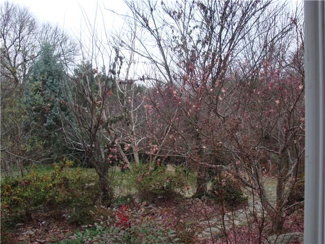 1801 Simmons Ridge Road Cornersville, TN 37047 - Photo 14 of 16 Gallery Image 14