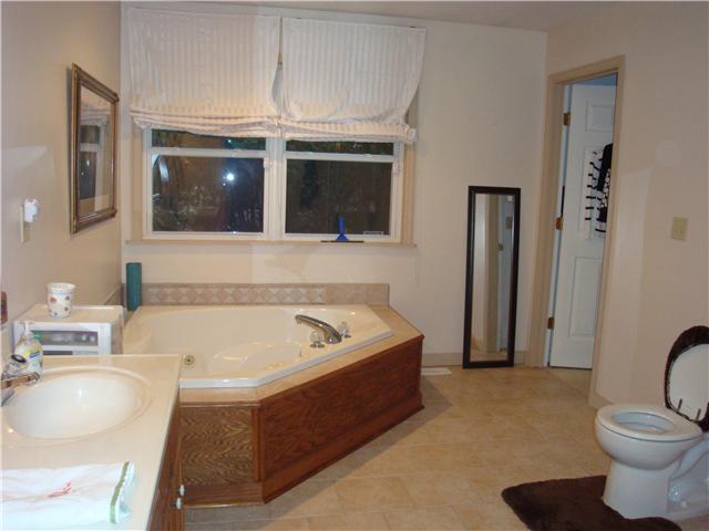 1801 Simmons Ridge Road Cornersville, TN 37047 - Photo 10 of 16 .....And the Master Bath has a Super Bath that includes Jacuzzi, Shower, Double Vanities and a large Walk in Closet.