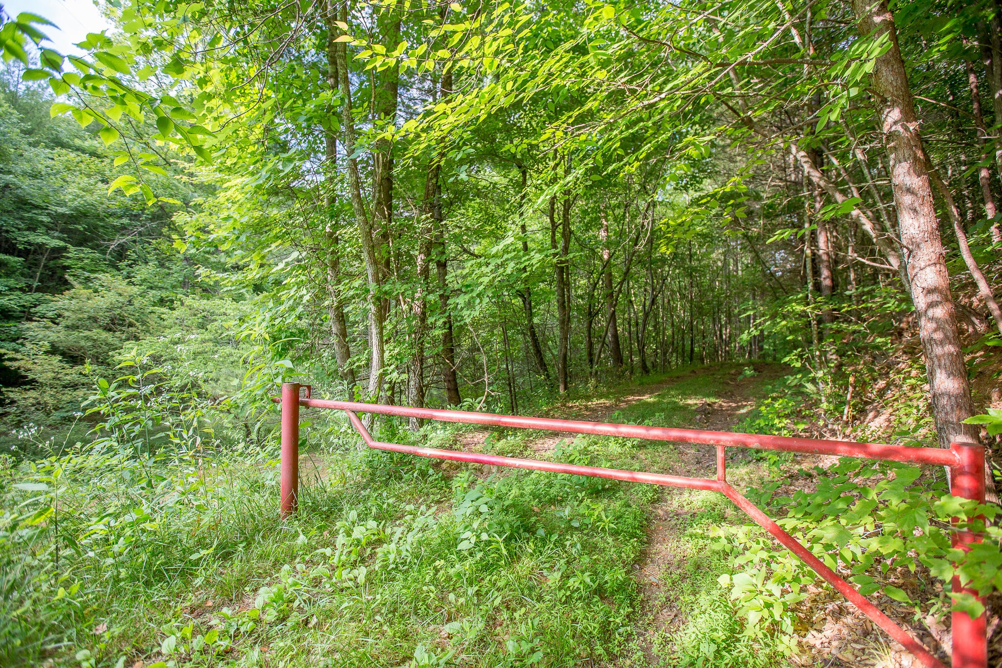 388 Greasy Creek Road Reliance, TN 37369 - Photo 8 of 21 Gallery Image 8
