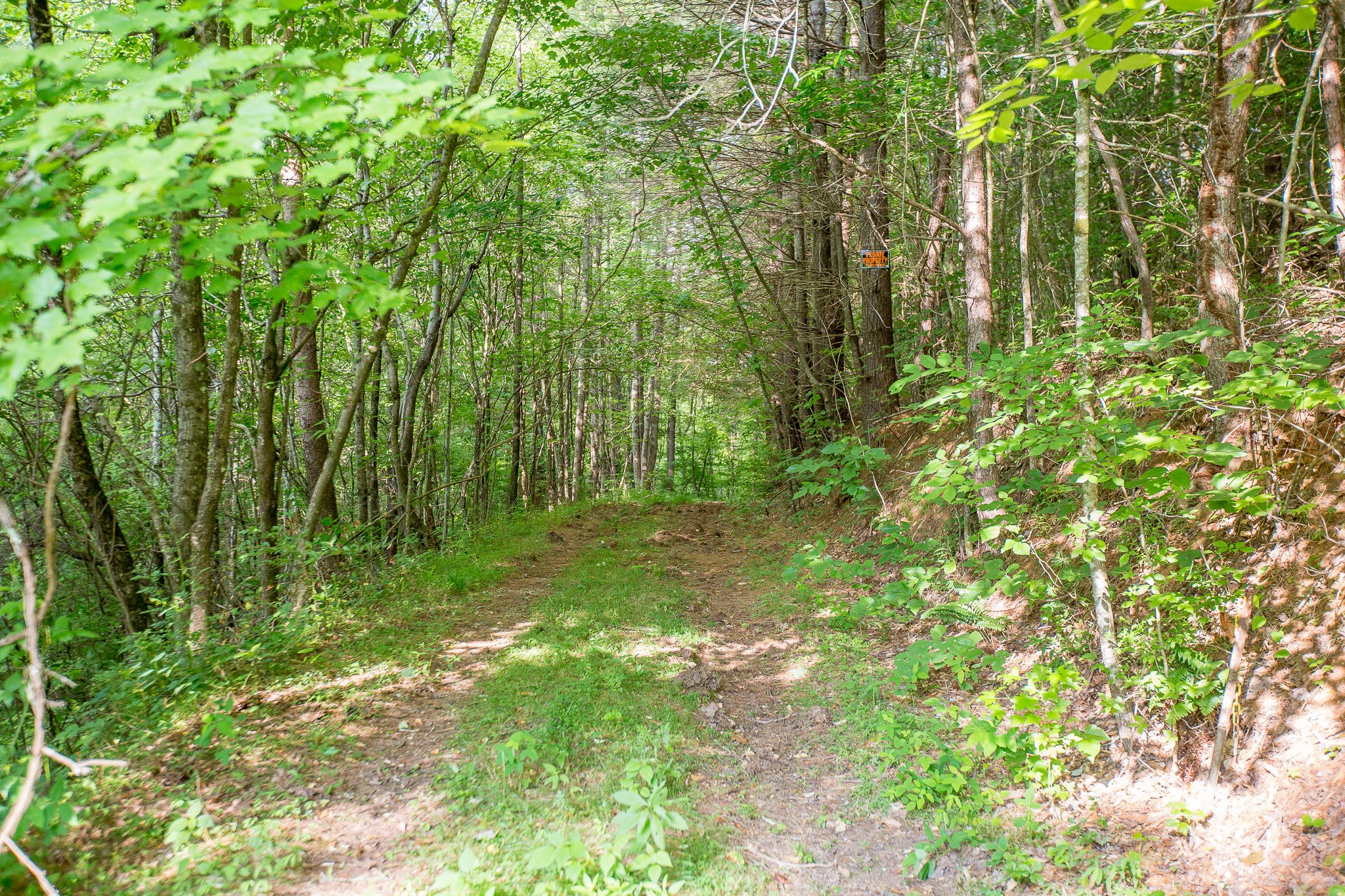 388 Greasy Creek Road Reliance, TN 37369 - Photo 9 of 21 Gallery Image 9